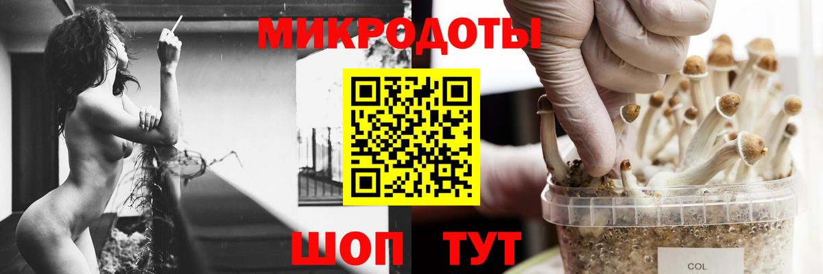 Псилоцибиновые грибы мухоморы  Вход с VPN  Железногорск 